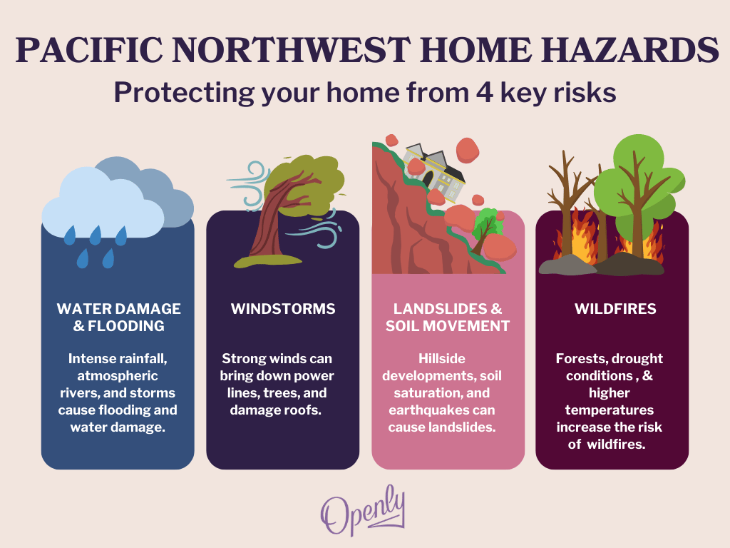 PNW Home Hazards Infographic