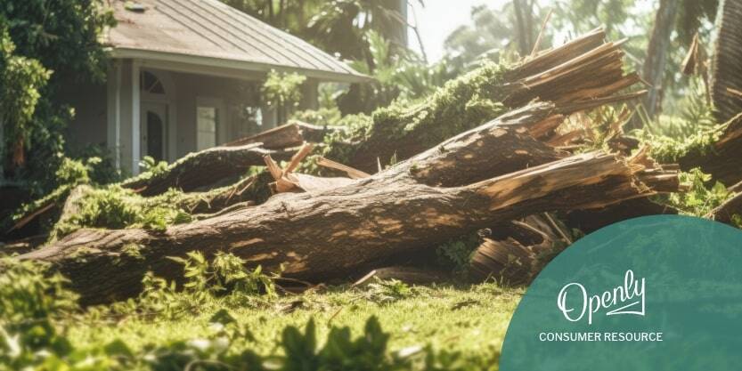 A fallen tree lies in a yard next to a house. 